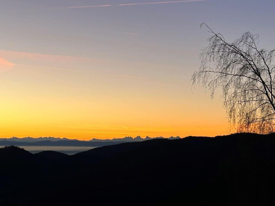 Un Coin De Montagne Daire Linthal Dış mekan fotoğraf