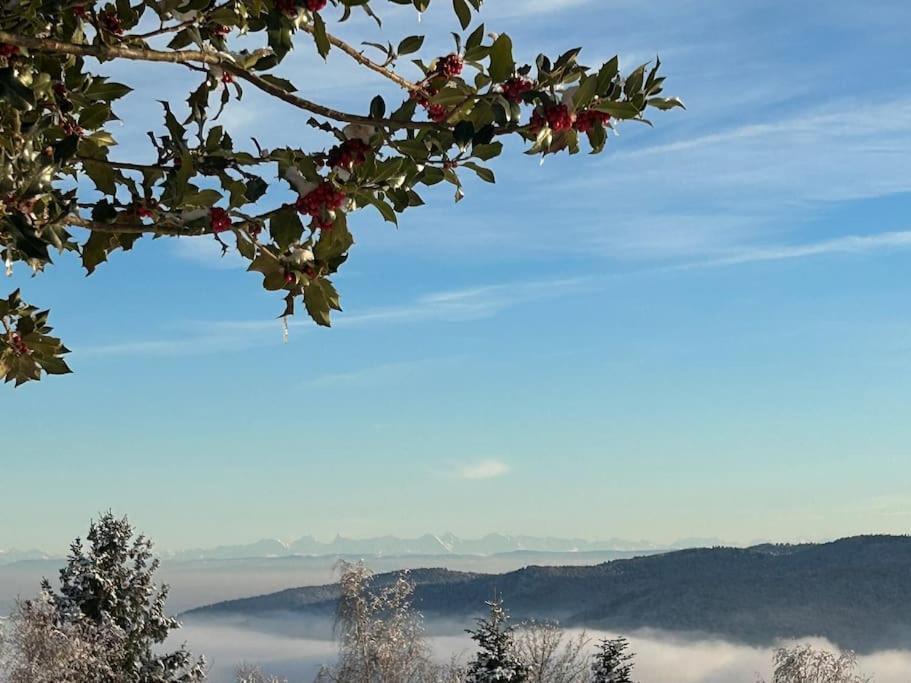 Un Coin De Montagne Daire Linthal Dış mekan fotoğraf