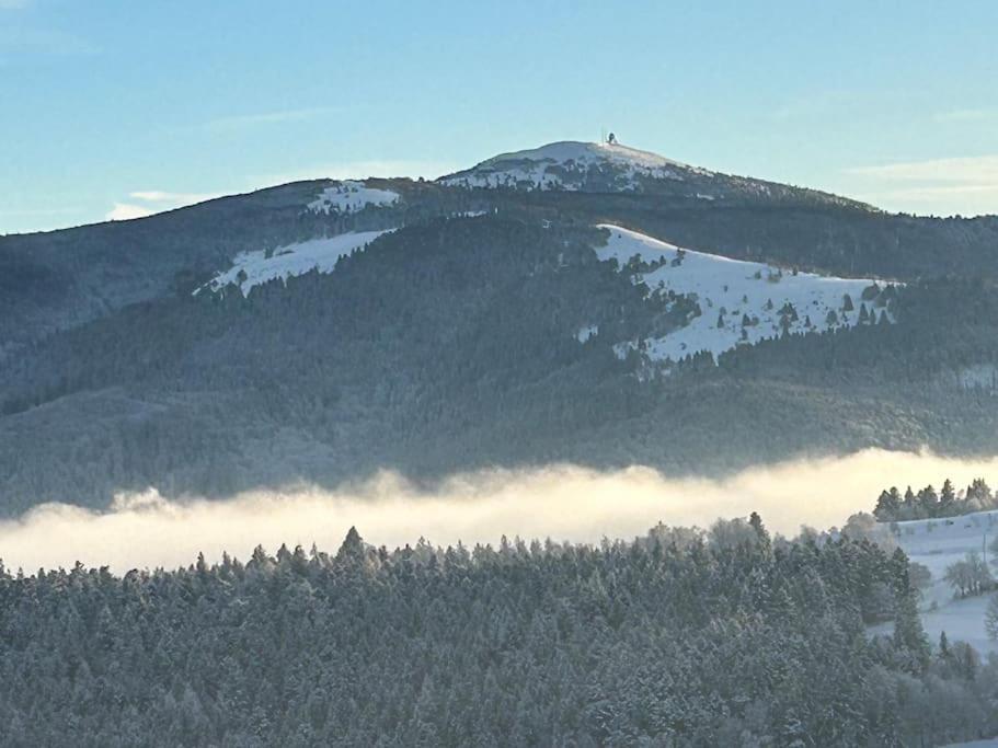 Un Coin De Montagne Daire Linthal Dış mekan fotoğraf