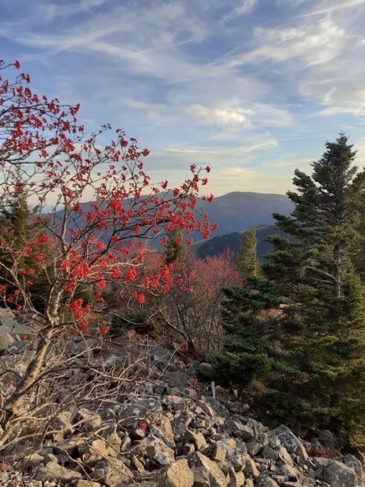 Un Coin De Montagne Daire Linthal Dış mekan fotoğraf