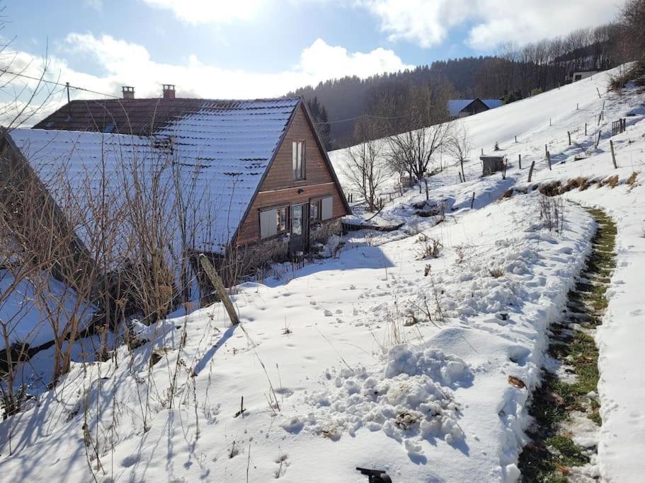 Un Coin De Montagne Daire Linthal Dış mekan fotoğraf