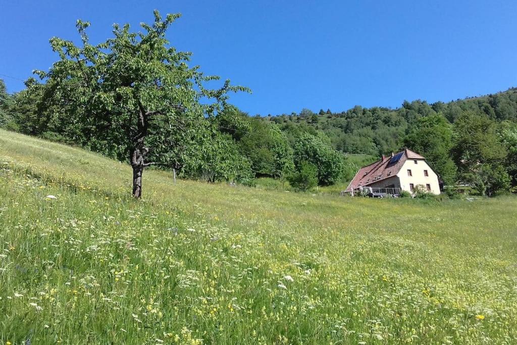 Un Coin De Montagne Daire Linthal Dış mekan fotoğraf